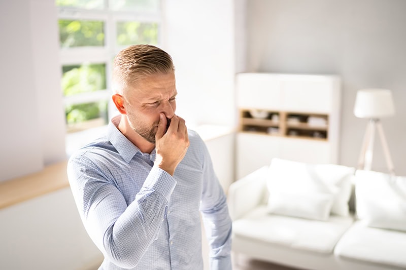 Common Sewer Odors in Your Home: What’s That Smell?